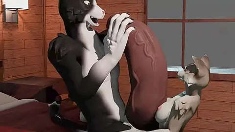 Cat And Dog Sex